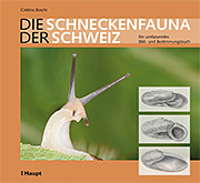 Buch, gebunden Die Schneckenfauna der Schweiz