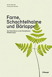 Flexobroschur, 15,5 x 22,5 cm Farne, Schachtelhalme und Bärlappe