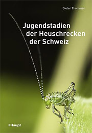 Flexobroschur, 15,5 x 22,5 cm, 910 g Jugendstadien der Heuschrecken der Schweiz