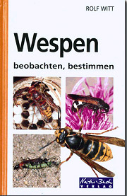 Buch gebunden Wespen - beobachten, bestimmen