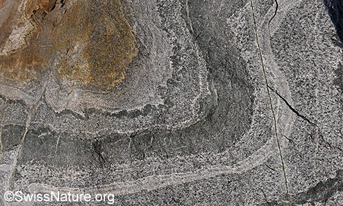 Bändergneis mit verformten Lagen (fotografiert an einem Felsblock)