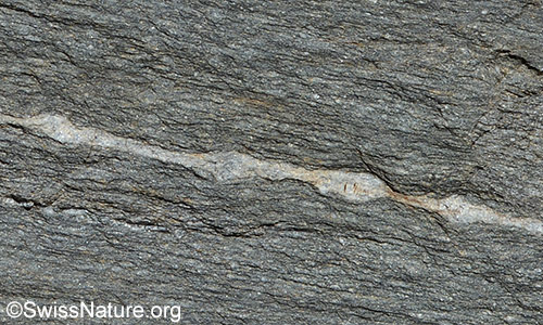 Ausschnitt aus obenstehendem Foto.