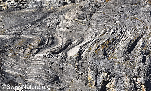 Blick in eine Felswand mit grossflächiger Faltung von Gesteinsschichten.