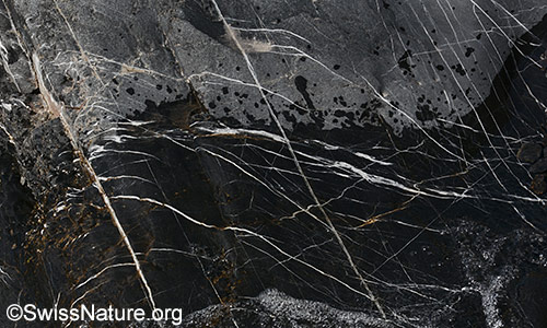 Hydrothermale Adern in einem Kalksteinfelsen im Bachbett.