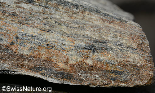 Metamorphit mit deutlicher Schieferung.