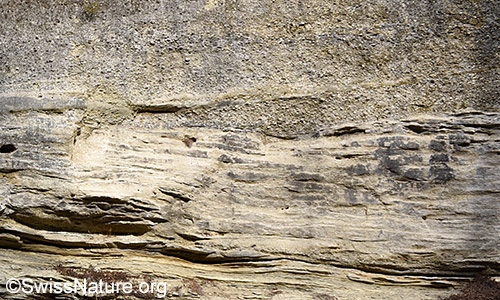 Schichten aus Sandstein und Konglomerat (Nagelfluh).