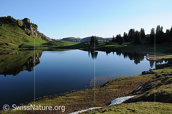 Foto: Seebergsee mit Spiegelung der sanften Hügel einer Alpweide, eines Felskopfs und lichtem Wald in der ruhigen Wasserfläche. Am Ufer liegen noch Schneereste.