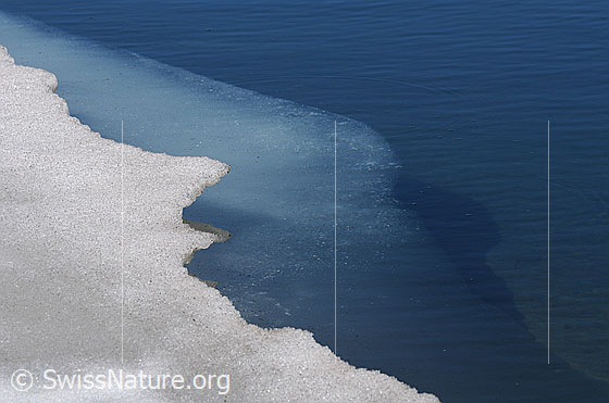 Foto: Rand einer Eisscholle. Im klaren Wasser ist auch die unter Wasser liegende Eisschicht zu sehen.