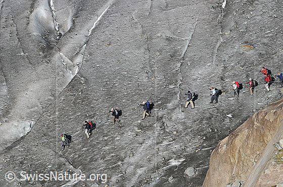 Foto: Outdoor: Gletscherwandern. 
Eine Gruppe Alpinisten ist auf dem Gletscher unterwegs.