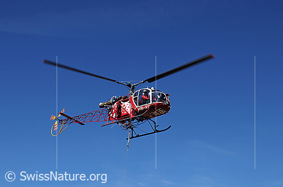 Foto: Helikopter der Air Zermatt im Flug. Im Cockpit ist Der Pilot erkennbar.