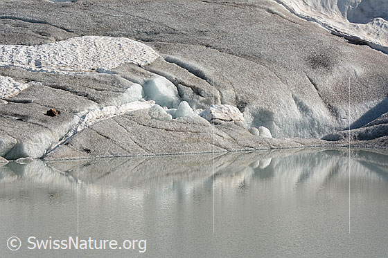 Foto: Formen in der Natur.
Das Eis einer Gletscherzunge, welche in einen See mündet, spiegelt sich im Gletschersee.