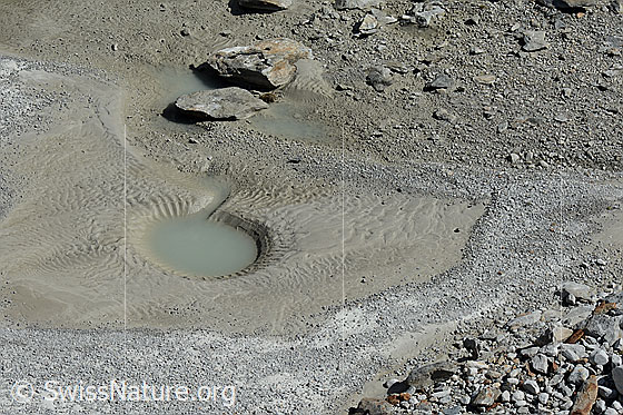Foto: Wasserloch im Gletschervorfeld  des Fieschergletschers.