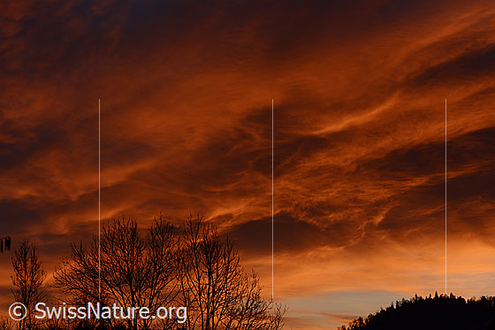 Foto: Abendstimmung mit starkem Abendrot und wellenartigem Wolkenhimmel.