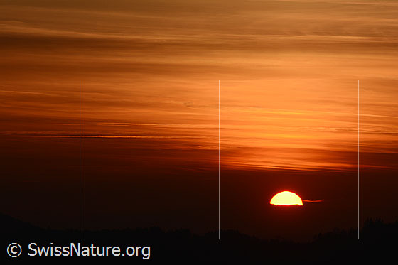 Foto: Sonnenuntergang mit warmen Farben am Abendhimmel. Die Sonne verschwindet als Scheibe im Horizont.