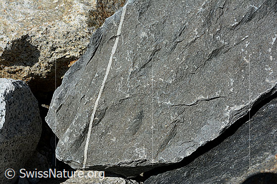 Foto: Calcitader in Felsblock aus Kalkgestein. Die hydrothermale Ader ist ca. 1cm breit.
