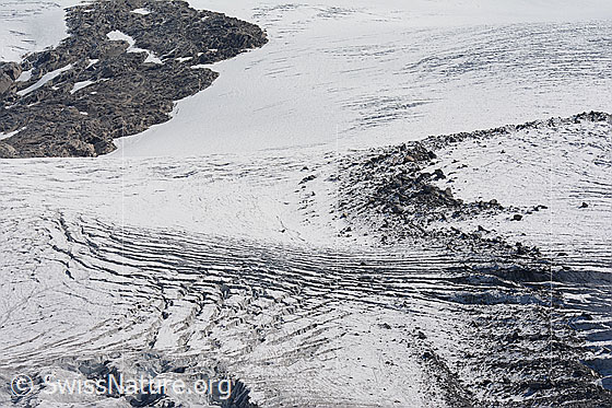 Foto: Längsspalten und Querspalten auf dem Gornergletscher.