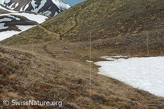Foto: Lebensraum Nr. 6 im Frühling.