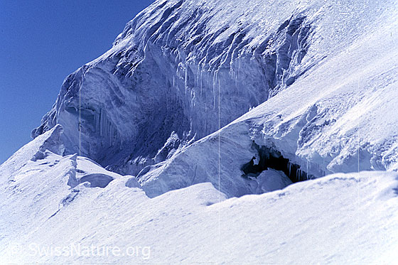 Foto: Bergschrund am Alphubel. Aufnahme ab Dia.