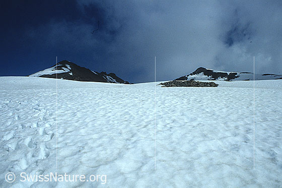 Foto: Weite Schneefläche mit den Gipfeln des Piz Surlej und Munt Arlas im Hintergrund.