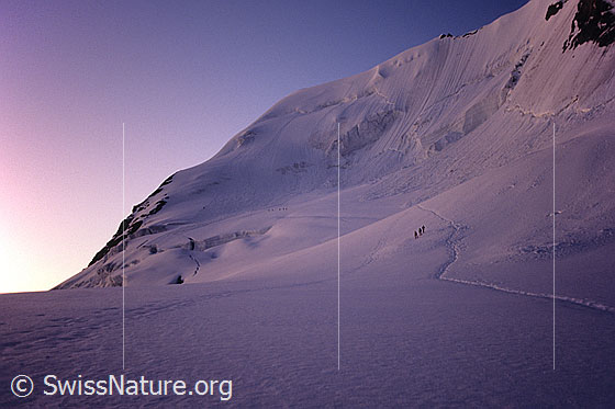 Foto: Morgenstimmung am Morgenhorn. Mehrere Alpinisten sind auf dem Morgenhorngletscher unterwegs. In der Nordwand sind Hängegletscher zu sehen. Aufnahme ab Dia.