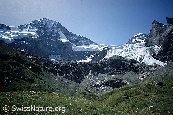 Foto: Obere Breithorngletscher, Breithorn, Breithorngletscher und Tschingelhorn. Aufnahme ab Dia.