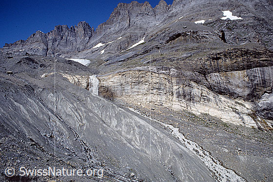 Foto: Tschingelgletscher und Gletscherbach (Tschingel Lütschine) mit Wasserfall, welcher über eine helle Felsstufe stürzt. Im Hintergrund sind Gspaltenhorn und Tschingelfirn zu sehen. Aufnahme ab Dia.