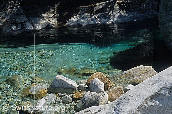 Foto: Blick über Felsblöcke am Ufer der Verzasca ins türkisfarbene Wasser. Die Steine auf dem Grund sind im klaren Wasser gut sichtbar.
