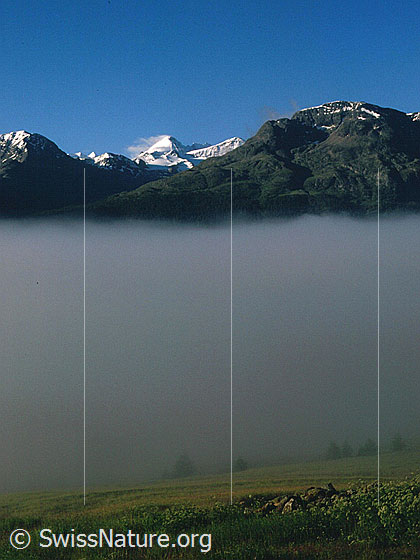 Foto: Nebel über dem Engadin. Darüber Piz Morteratsch und Piz Tschierva von NNW (Aufstieg Piz Ot)
Aufnahme ab Dia.