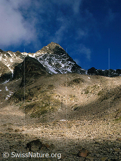 Foto: Gipfelaufbau des Piz Ot von ENE.
Aufnahme ab Dia.