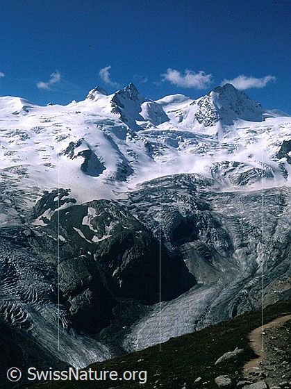 Foto: La Sella und Piz Glüschaint von N.
Davor: Sella- und Roseggletscher.
Aufnahme ab Dia.