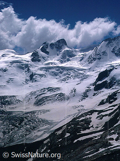 Foto: La Sella von N.
Davor: Roseggletscher.
Aufnahme ab Dia.