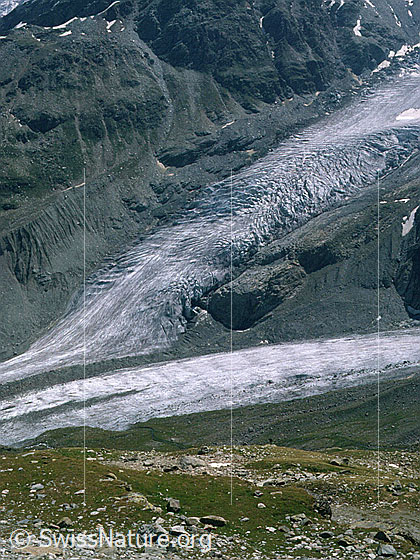 Foto: Zusammenfluss von Sella- und Roseggletscher