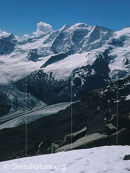Foto: Piz Palü von NNW (Aufstieg Piz Mandra)
Davor: Zusammenfluss Morteratsch- und Persgletscher (Vadret da Morteratsch und Vadret Pers). Darüber der Vadret da la Fortezza (Fortezzagletscher) und die Fortezza.
Aufnahme ab Dia.