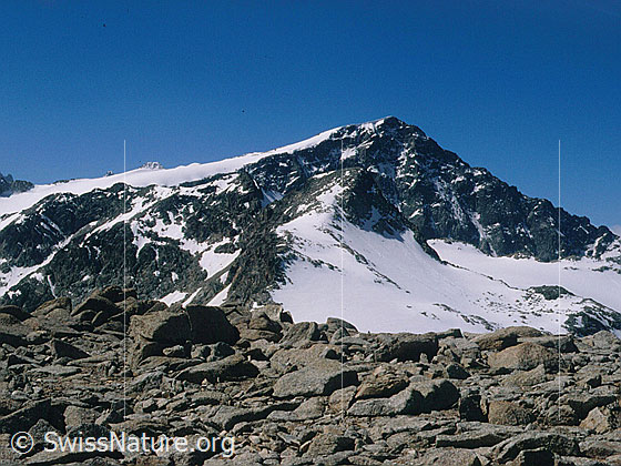 Foto: Piz Tschierva von NNW (Gipfel Piz Mandra)
Davor der Piz Misaun.