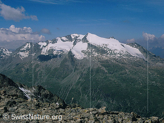 Foto: Piz Corvatsch von ESE (Gipfel Piz Mandra)
Gletscher: Vadret dal Murtel, Vadret da l