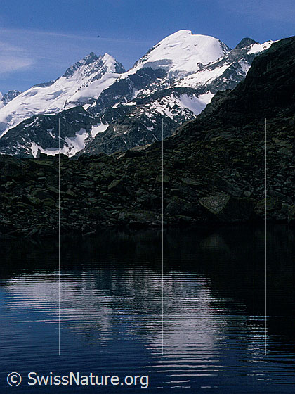 Foto: Piz Bernina und Piz Morteratsch von N (Puoz Ot)
Spiegelung in Bergsee