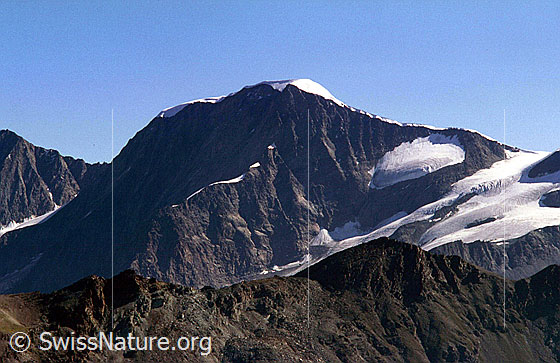 Foto: Alphubel von SSW (Gornergrat).
Aufnahme ab Dia.