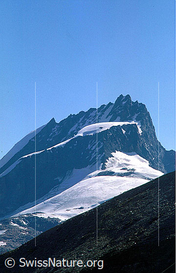 Foto: Rimpfischhorn von WSW (Gornergrat)
Aufnahme ab Dia.