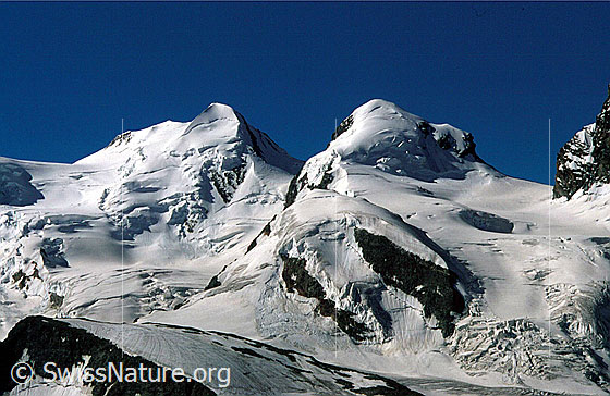 Foto: Felikjoch, Castor und Pollux, Schwarztor von N (Gornergrat).
Zwillingsgletscher und Schwärzegletscher.
Aufnahme ab Dia.