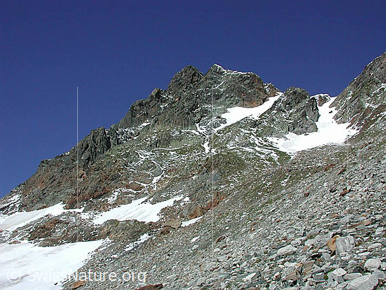 Foto: Im Aufstieg zum Sattel; Blick Richtung Rothorn
