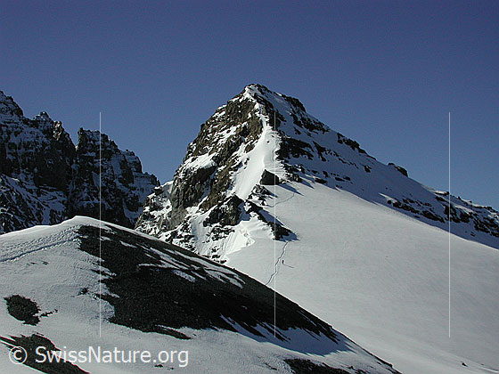 Foto: Im Aufstieg zur Bütlasse. Blick auf den Gipfel