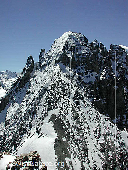 Foto: Blick vom Gipfel der Bütlasse zum Gspaltenhorn