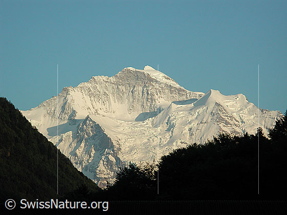 Foto: Jungfrau von Interlaken.