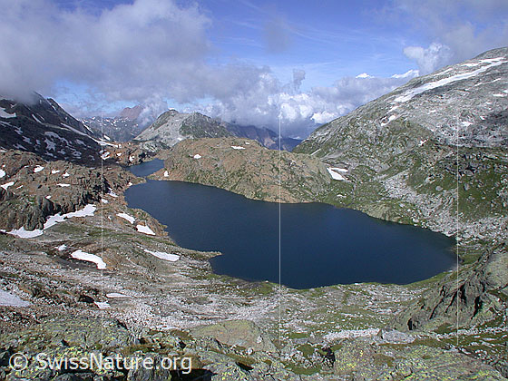 Foto: Geisspfad- und Züesee. Blick vom Grampielpass.