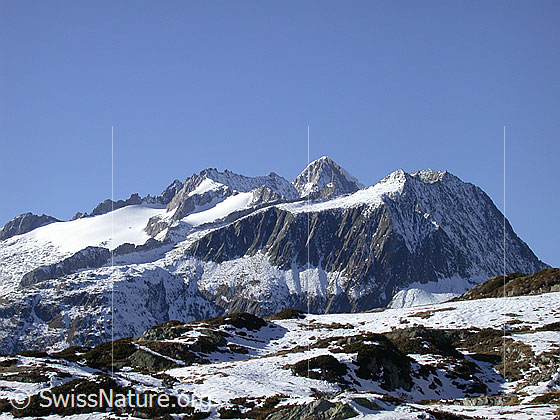 Foto: Unterbächhorn, Nesthorn und Sparrhorn von E (unterhalb Mossfluh)