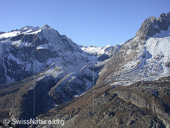 Foto: Blick SE (unterhalb Moosfluh) in den Oberaletschkessel.