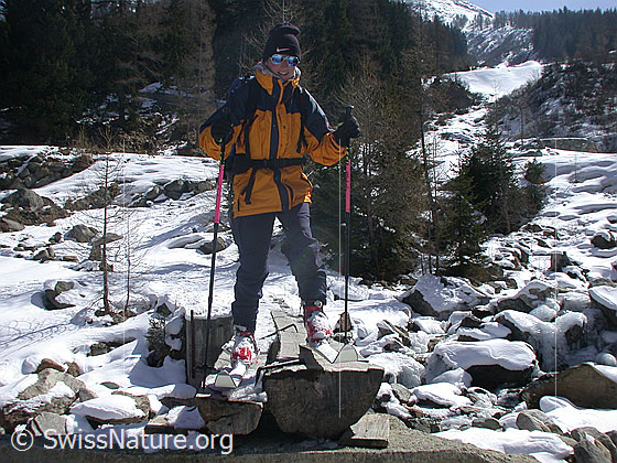Foto: Skitourenfahrerin auf Steg aus Baumstämmen.