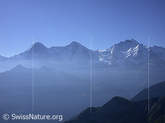 Foto: Eiger, Mönch und Jungfrau von NW (Sulegg)