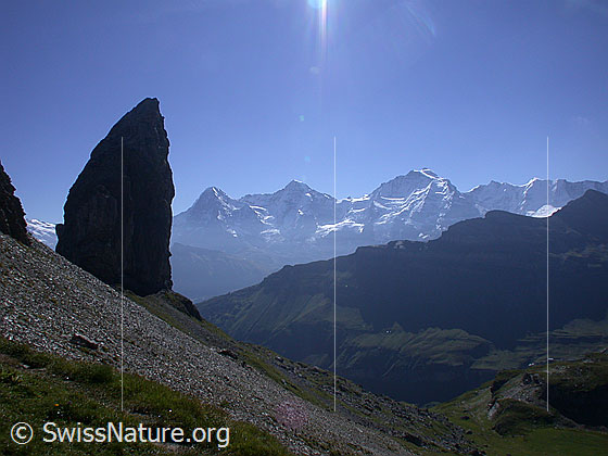 Foto: Lobhörner von SW. Im Hintergrund sind Eiger, Mönch und Jungfrau zu sehen.