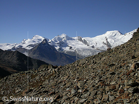 Foto: Strahlhorn, Egginer, Allalinhorn, Feekopf und Alphubel von NE (Aufstieg Jegihorn)